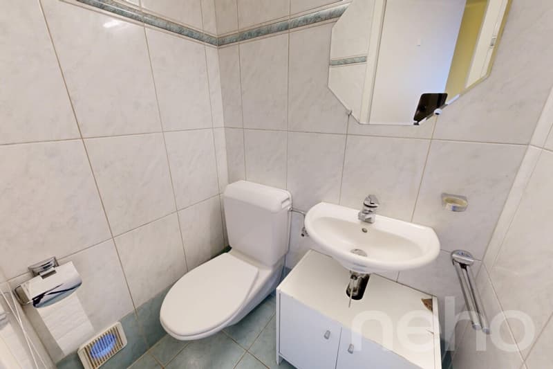 Ruhig gelegene 5-Zimmer-Wohnung mit Balkon und Tiefgaragenplatz (10)