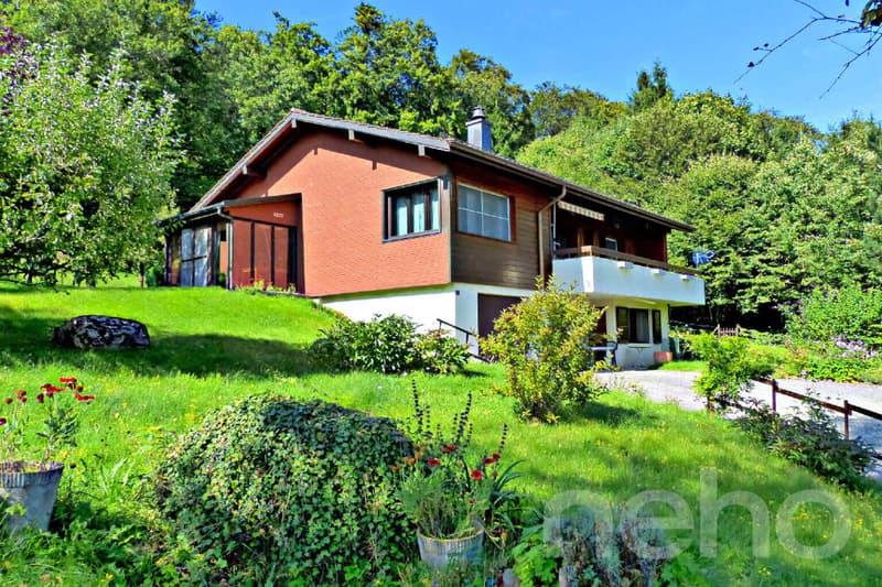 A 5 minutes d'Aubonne: grande villa nichée dans un écrin de verdure (11)