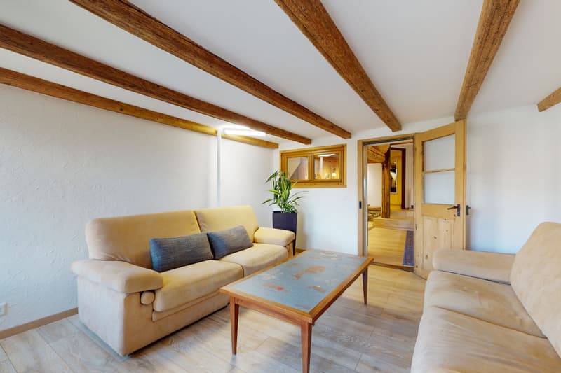 Superbe propriété avec cachet et gros potentiel au coeur de St-Légier (4)