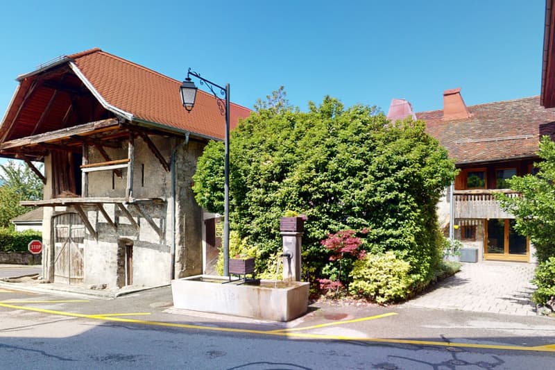 Superbe propriété avec cachet et gros potentiel au coeur de St-Légier (2)