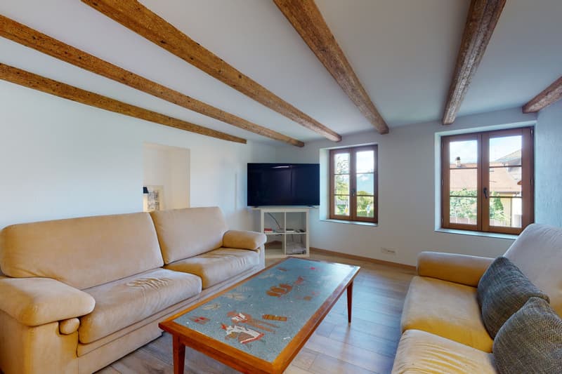 Superbe propriété avec cachet et gros potentiel au coeur de St-Légier (3)