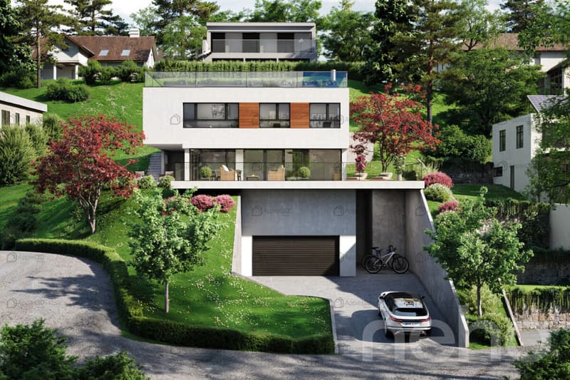 Villa d'architecte avec vue panoramique sur le lac et les montagnes (3)
