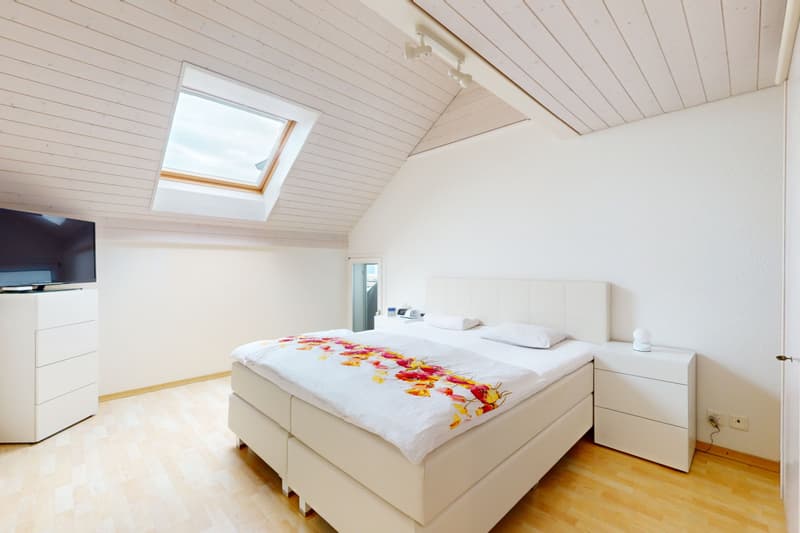 Dachwohnung mit fantastischer Bergsicht (8)