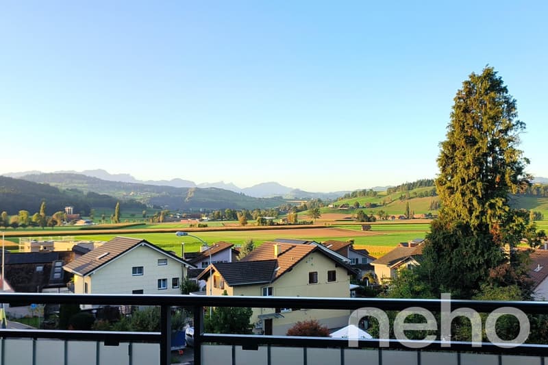 Dachwohnung mit fantastischer Bergsicht (4)