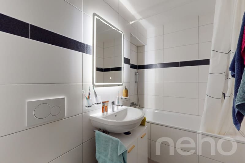 Appartement 3,5 pièces, idéal premier achat ou investissement. (9)