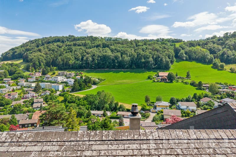 Exklusives Wohnen mit Garten, Wintergarten und Weitsicht (11)