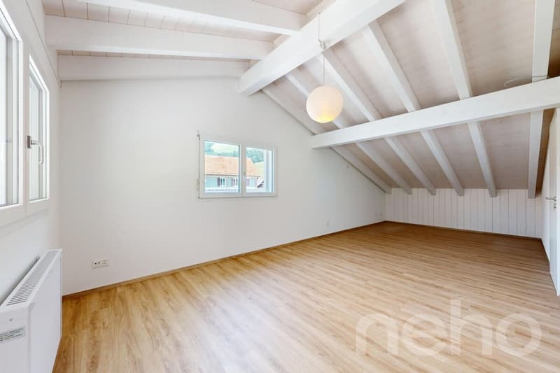 Einfamilienhaus mit über 260 m² Nutzfläche und grosser Garage (11)