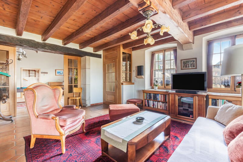 Grande maison familiale avec annexe indépendante (1)