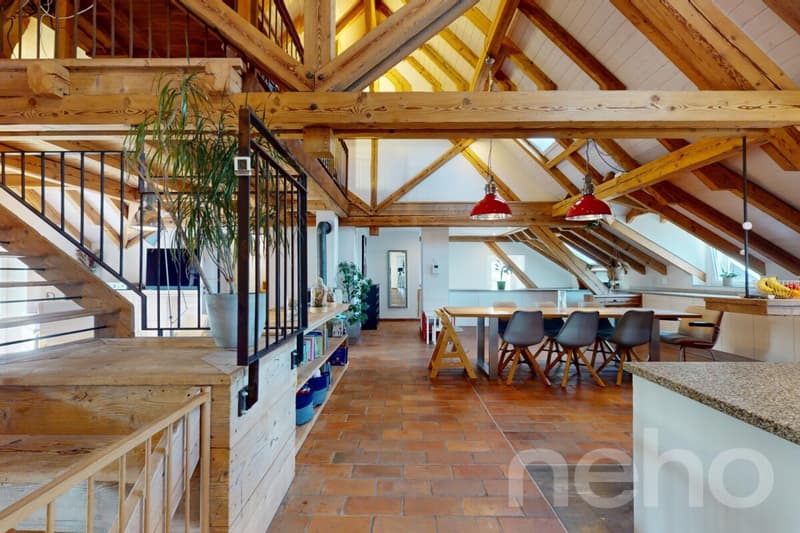Magnifique Duplex sous les toits : l'espace et l'esprit d'une maison (3)