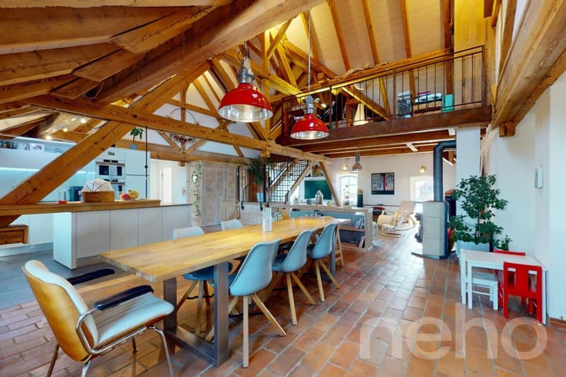 Magnifique Duplex sous les toits : l'espace et l'esprit d'une maison (1)