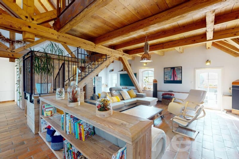Magnifique Duplex sous les toits : l'espace et l'esprit d'une maison (2)