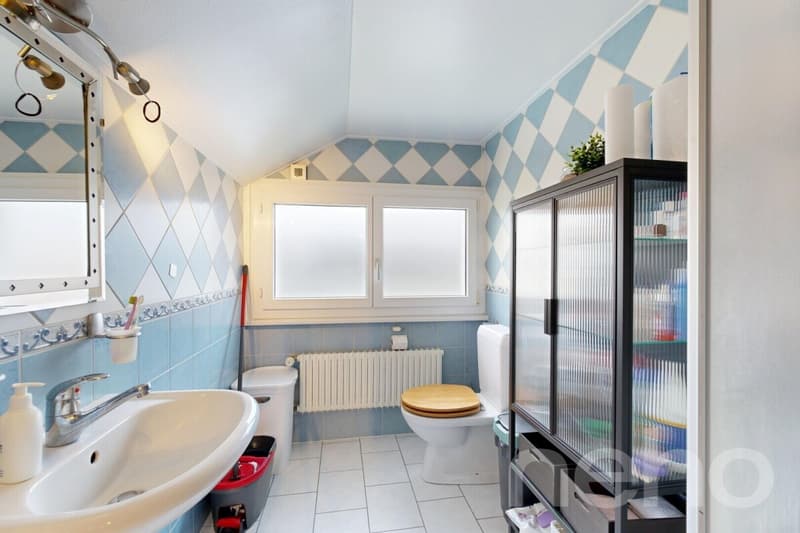 Mehrfamilienhaus im grünen Plasselb (11)