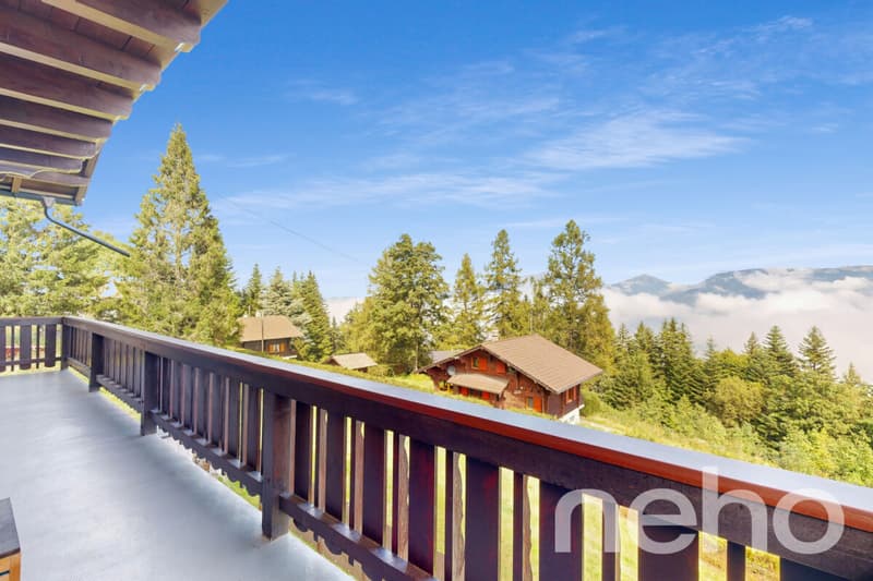 Magnifique chalet et son studio privé - Les Giettes (3)