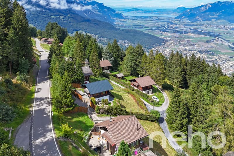 Magnifique chalet et son studio privé - Les Giettes (2)