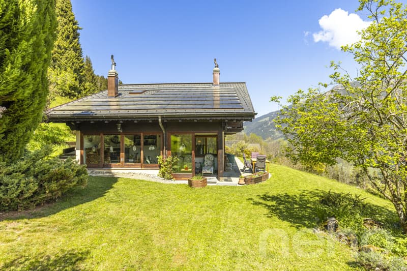 Exclusif: Grand chalet de trois chambres avec 2 garages (3)