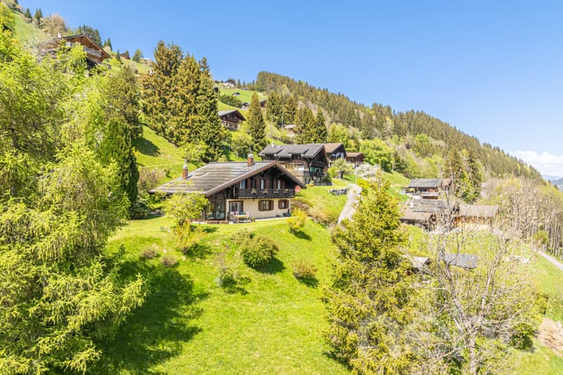 Exclusif: Grand chalet de trois chambres avec 2 garages (4)