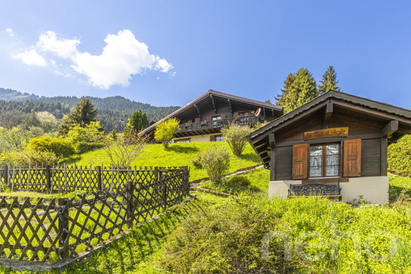 Exclusif: Grand chalet de trois chambres avec 2 garages (9)
