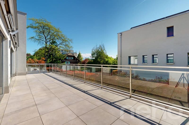 Spacieux 3.5 pièces avec grand terrasse et situation idéale (1)