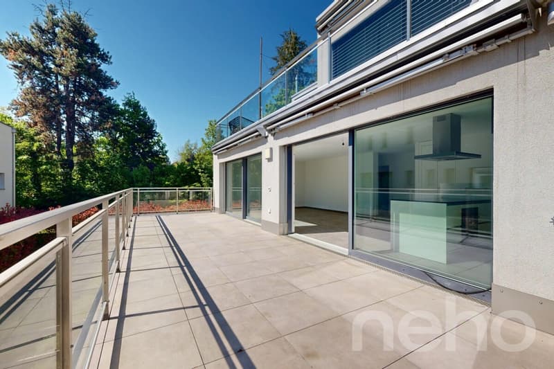 Spacieux 3.5 pièces avec grand terrasse et situation idéale (2)