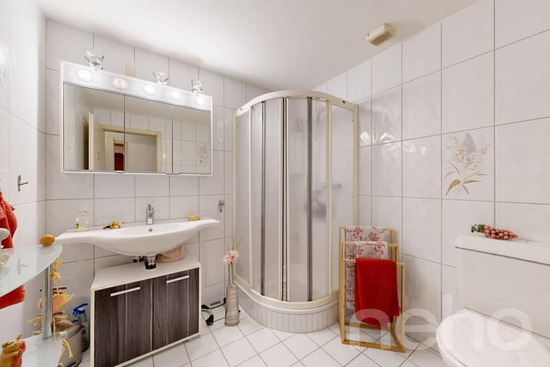 Grosszügige 4.5-Zimmer-Terrassenwohnung mit Lift und Wintergarten (8)