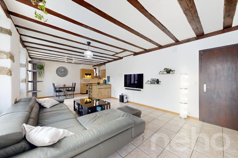 Appartement lumineux 4.5 pièces avec jardin ? Quartier calme (2)