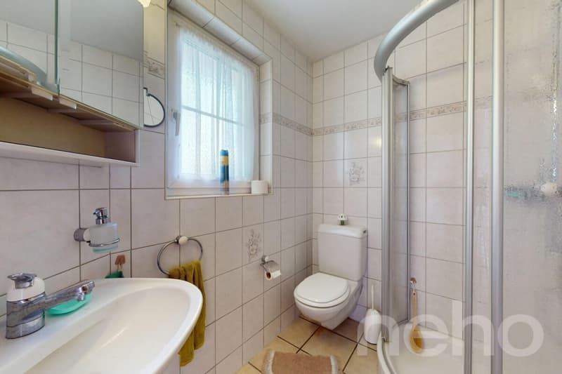 Idyllisches 5-Zimmer-Haus mit Gartenparadies an der Dünnern (8)