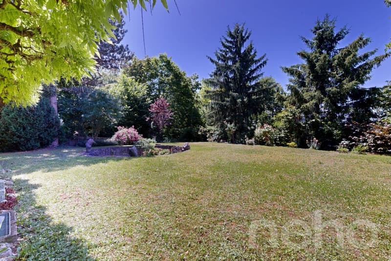 Grosszügiges 7.5-Zimmer-Einfamilienhaus mit Gartenidylle in Dornach (2)