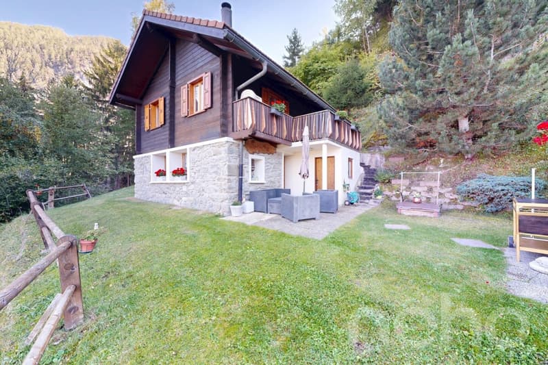 Charmant chalet en excellent état (1)