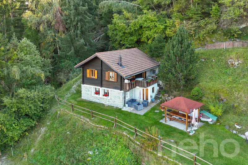 Charmant chalet en excellent état (3)