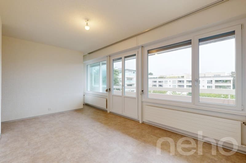 Superbe duplex familial de 7 pièces à Thônex (8)