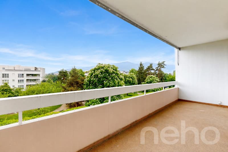 Superbe duplex familial de 7 pièces à Thônex (1)