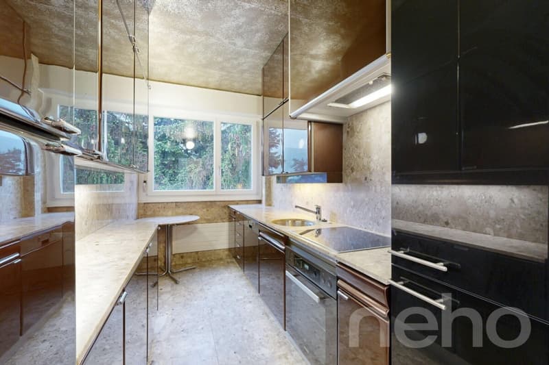 Superbe duplex familial de 7 pièces à Thônex (4)