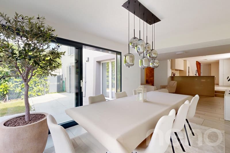 Magnifique Duplex entièrement rénové (4)