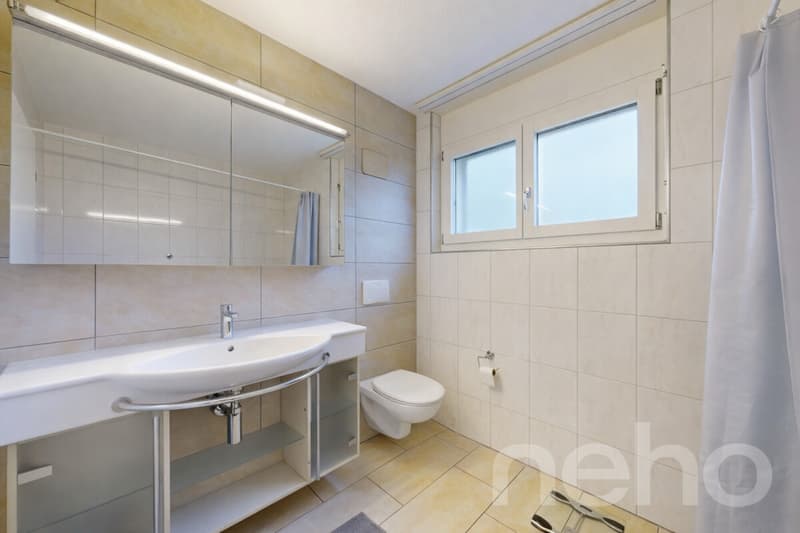 Grosse 5.5-Zimmer Wohnung mit unverbaubarer Aussicht in Schlieren (5)