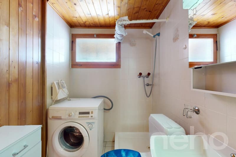 Chalet face aux sommets, idéal résidence secondaire (10)
