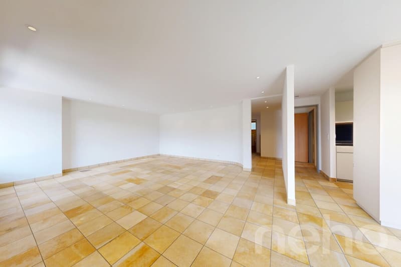 Exklusive Terrassenwohnung mit 189 m² Terrassen und Jura-Aussicht (2)