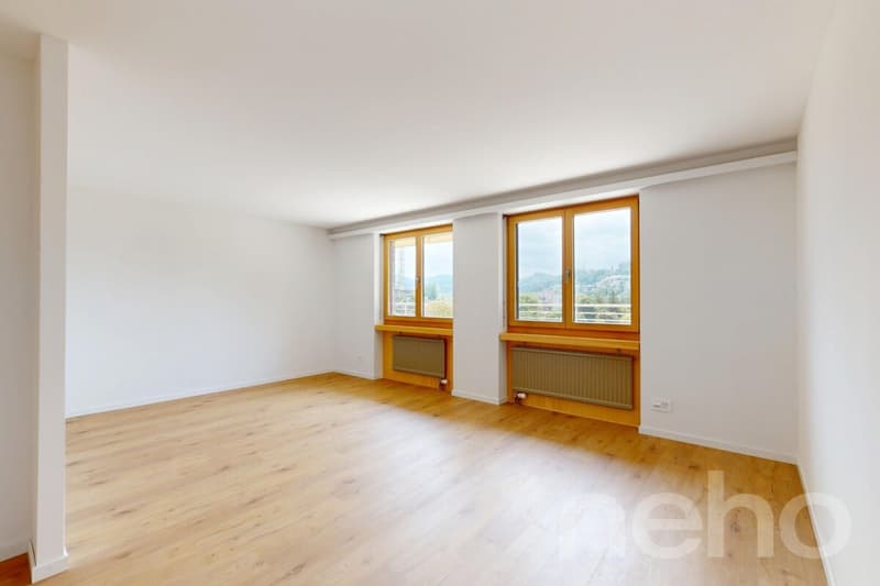 Exklusive Terrassenwohnung mit 189 m² Terrassen und Jura-Aussicht (4)