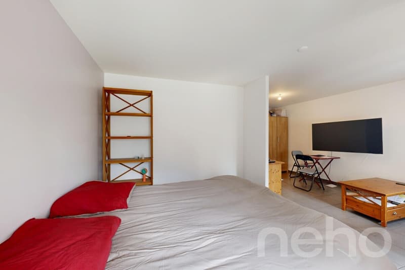 Charmant studio de 34 m² avec place de parc et grande cave (5)