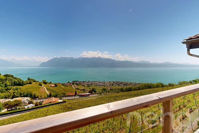 L'élégance d'un chalet entre lac, vignes et montagnes (9)