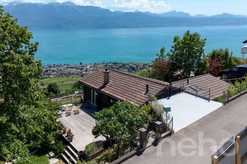 L'élégance d'un chalet entre lac, vignes et montagnes (3)