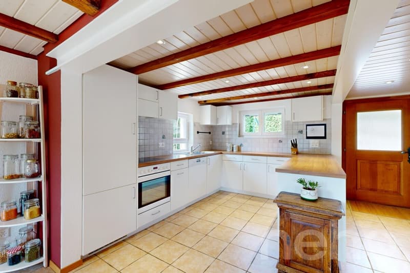 Maison rénovée avec jardin, étang et vue dégagée à 5 min d?Avenches (10)