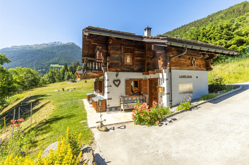 Chalet authentique avec dépendance de charme (12)