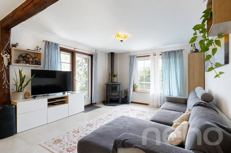 Agréable 4.5p avec 1043 m2 de jardin privatif (2)
