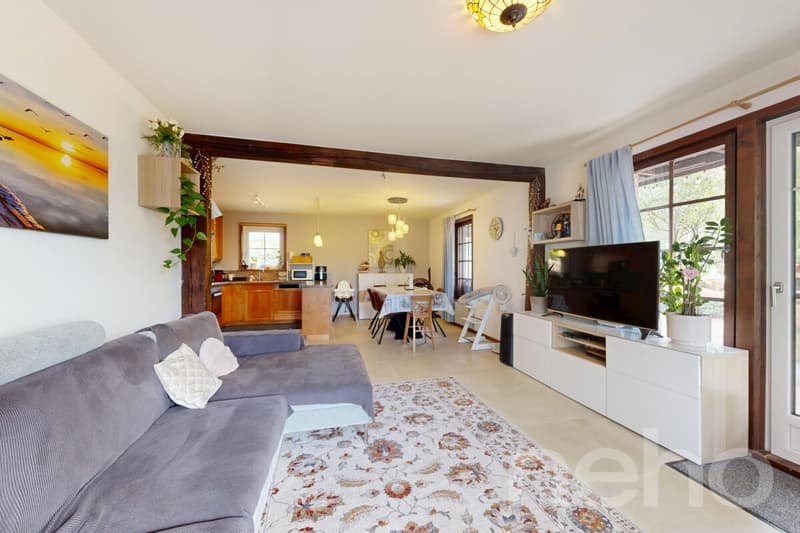 Agréable 4.5p avec 1043 m2 de jardin privatif (3)