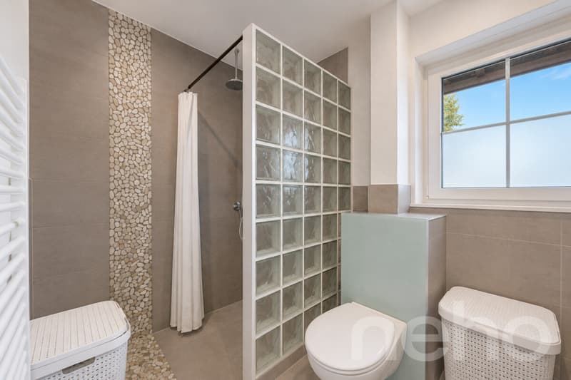 Agréable 4.5p avec 1043 m2 de jardin privatif (12)