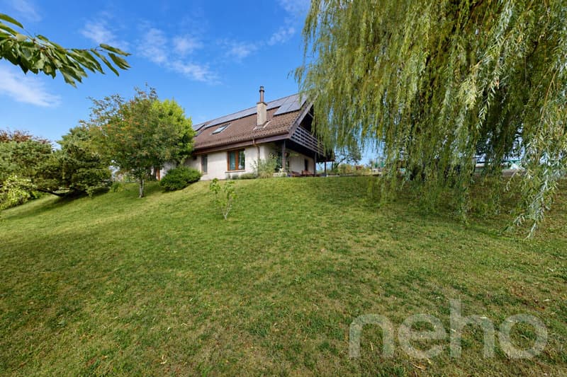 Agréable 4.5p avec 1043 m2 de jardin privatif (11)