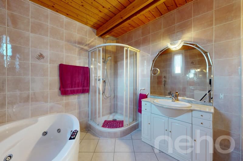 Villa familiale avec jardin arboré et jacuzzi à Founex (7)