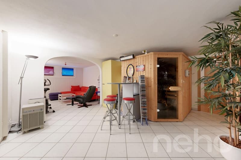 Villa familiale avec jardin arboré et jacuzzi à Founex (9)