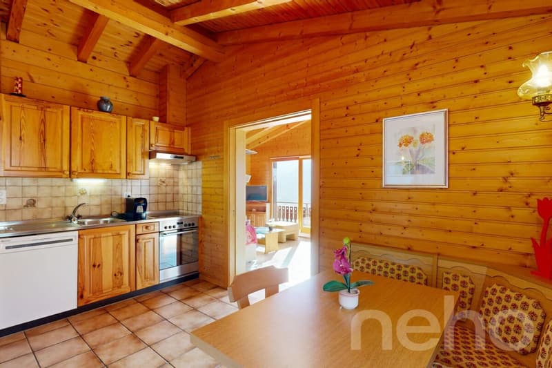 Un charmant chalet avec une vue imprenable plein sud (9)
