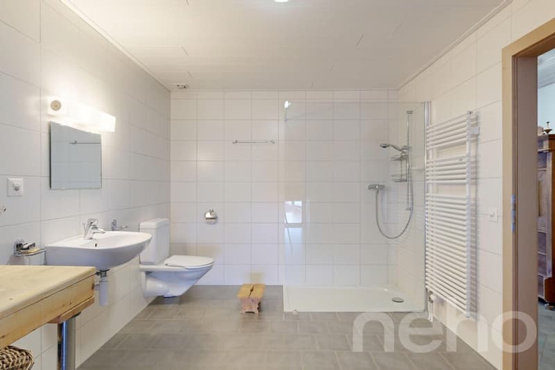 Maison de 380 m² avec fort potentiel de rendement (10)